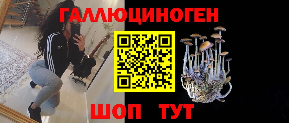 хочу   Вход с VPN  Керчь  Галлюциногенные грибы прущие грибы 